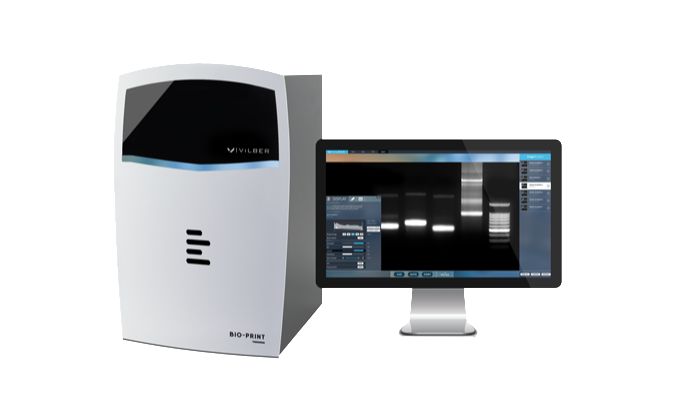 Гельдокументирующая система Bio-Print CX4 Edge, моторизованный зум, без трансиллюминатора Гельдокументирующая система Bio-Print CX4 Edge, моторизованный зум, без трансиллюминатора