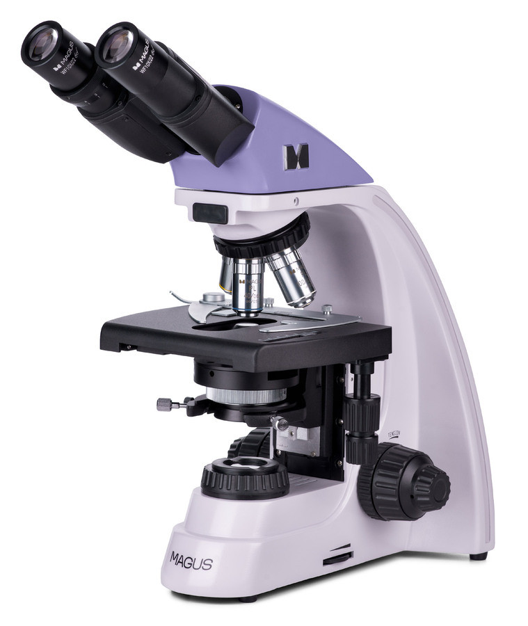 Микроскоп MAGUS Bio 250B, прямой, бинокуляр/тринокуляр, СП, ТП, ФК, Пол, планахромат 4×, 10×, 40×, 100×МИ Микроскоп MAGUS Bio 250B, прямой, бинокуляр/тринокуляр, СП, ТП, ФК, Пол, планахромат 4×, 10×, 40×, 100×МИ — изображение 4