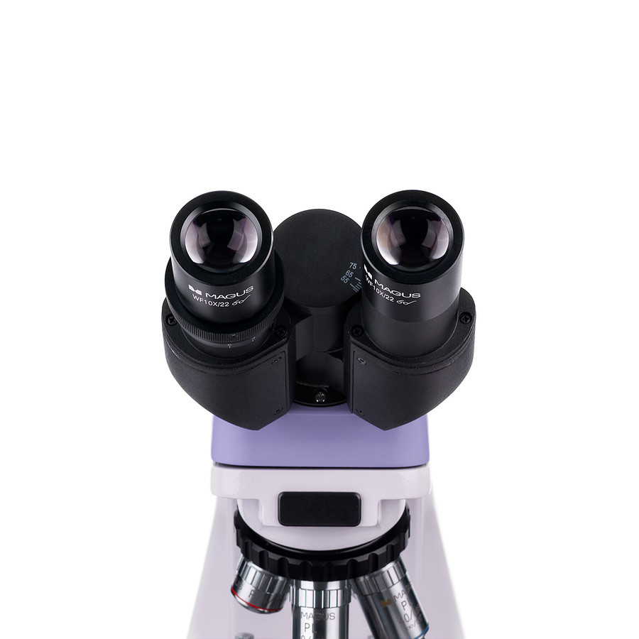 Микроскоп MAGUS Bio 250B, прямой, бинокуляр/тринокуляр, СП, ТП, ФК, Пол, планахромат 4×, 10×, 40×, 100×МИ Микроскоп MAGUS Bio 250B, прямой, бинокуляр/тринокуляр, СП, ТП, ФК, Пол, планахромат 4×, 10×, 40×, 100×МИ — изображение 11