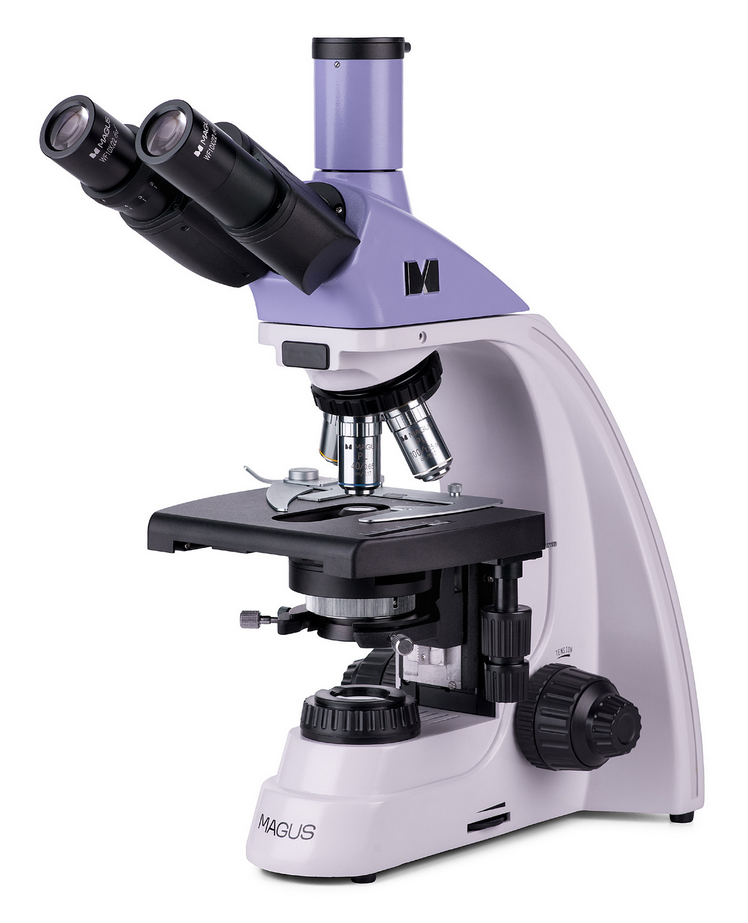 Микроскоп MAGUS Bio 250B, прямой, бинокуляр/тринокуляр, СП, ТП, ФК, Пол, планахромат 4×, 10×, 40×, 100×МИ Микроскоп MAGUS Bio 250B, прямой, бинокуляр/тринокуляр, СП, ТП, ФК, Пол, планахромат 4×, 10×, 40×, 100×МИ — изображение 2