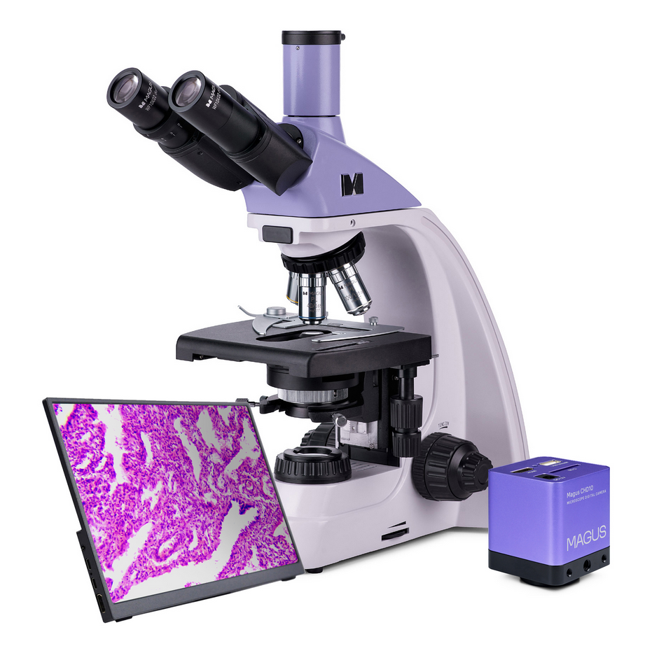 Микроскоп MAGUS Bio 250B, прямой, бинокуляр/тринокуляр, СП, ТП, ФК, Пол, планахромат 4×, 10×, 40×, 100×МИ Микроскоп MAGUS Bio 250B, прямой, бинокуляр/тринокуляр, СП, ТП, ФК, Пол, планахромат 4×, 10×, 40×, 100×МИ — изображение 3