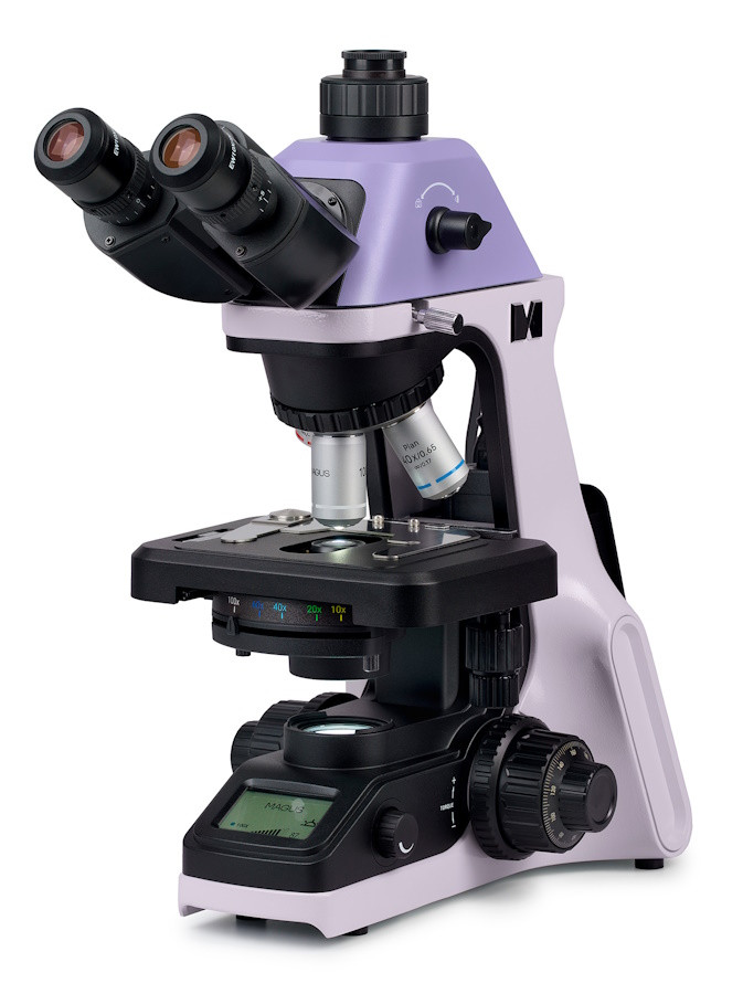 Микроскоп MAGUS Bio 240B, прямой, бинокуляр/тринокуляр, СП, планахромат 4×, 10×, 40×, 100×МИ Микроскоп MAGUS Bio 240B, прямой, бинокуляр/тринокуляр, СП, планахромат 4×, 10×, 40×, 100×МИ — изображение 2