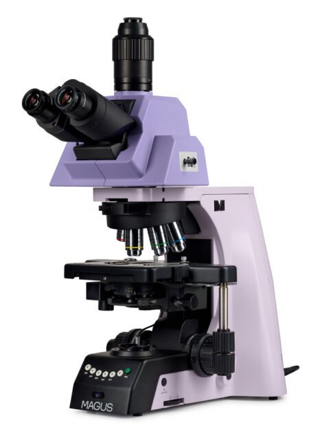 Микроскоп MAGUS Bio 290T, прямой, тринокуляр, СП, ТП, ФК, Пол, Дик, планахромат 4×, 10×, 40×, 100×МИ Микроскоп MAGUS Bio 290T, прямой, тринокуляр, СП, ТП, ФК, Пол, Дик, планахромат 4×, 10×, 40×, 100×МИ