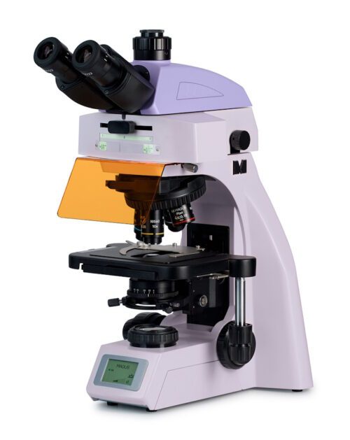 Микроскоп люминесцентный MAGUS Lum 450L, прямой, тринокуляр, СП, ТП, ЛЮМ, ФК, Пол, планахромат 4×, 10×, 40×, 100×МИ Микроскоп люминесцентный MAGUS Lum 450L, прямой, тринокуляр, СП, ТП, ЛЮМ, ФК, Пол, планахромат 4×, 10×, 40×, 100×МИ