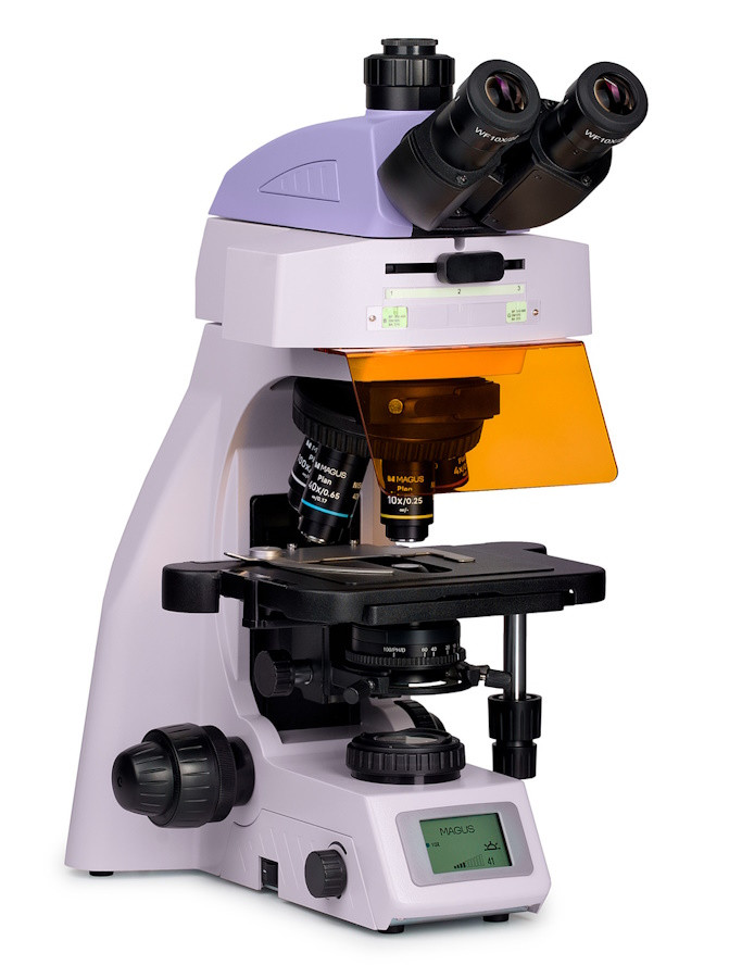 Микроскоп люминесцентный MAGUS Lum 450L, прямой, тринокуляр, СП, ТП, ЛЮМ, ФК, Пол, планахромат 4×, 10×, 40×, 100×МИ Микроскоп люминесцентный MAGUS Lum 450L, прямой, тринокуляр, СП, ТП, ЛЮМ, ФК, Пол, планахромат 4×, 10×, 40×, 100×МИ — изображение 2