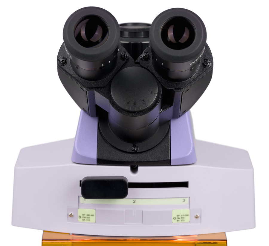 Микроскоп люминесцентный MAGUS Lum 450L, прямой, тринокуляр, СП, ТП, ЛЮМ, ФК, Пол, планахромат 4×, 10×, 40×, 100×МИ Микроскоп люминесцентный MAGUS Lum 450L, прямой, тринокуляр, СП, ТП, ЛЮМ, ФК, Пол, планахромат 4×, 10×, 40×, 100×МИ — изображение 8