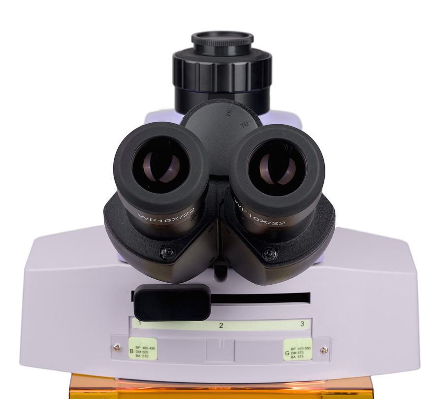 Микроскоп люминесцентный MAGUS Lum 450L, прямой, тринокуляр, СП, ТП, ЛЮМ, ФК, Пол, планахромат 4×, 10×, 40×, 100×МИ Микроскоп люминесцентный MAGUS Lum 450L, прямой, тринокуляр, СП, ТП, ЛЮМ, ФК, Пол, планахромат 4×, 10×, 40×, 100×МИ — изображение 9