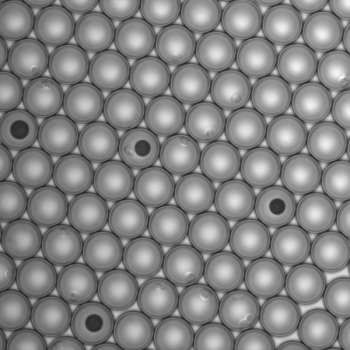Система инкапсуляции клеток µEncapsulator Система инкапсуляции клеток µEncapsulator — изображение 4