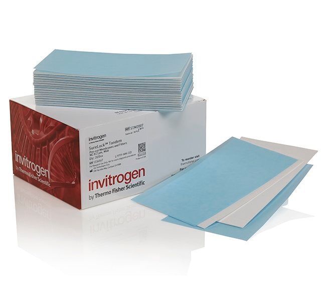 Система мокрого блоттинга SureLock Tandem Midi Gel, размер геля 8 x 13 см, с источником тока PowerEase Touch 350W Система мокрого блоттинга SureLock Tandem Midi Gel, размер геля 8 x 13 см, с источником тока PowerEase Touch 350W — изображение 2