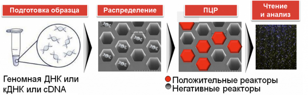 Система цифровой ПЦР на чипе QuantStudio 3D с амплификатором ProFlex, комплектом реагентов, два года гарантии Система цифровой ПЦР на чипе QuantStudio 3D с амплификатором ProFlex, комплектом реагентов, два года гарантии