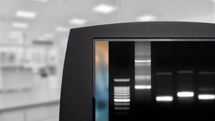 Гельдокументирующая система Doc-Print CX3, 3 Мп, ручное управление, без трансиллюминатора, фильтр 590 нм Гельдокументирующая система Doc-Print CX3, 3 Мп, ручное управление, без трансиллюминатора, фильтр 590 нм — изображение 3